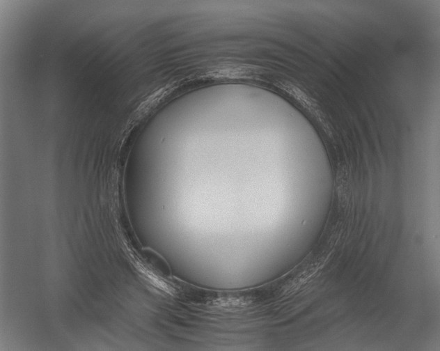 X0000052920445200507292330