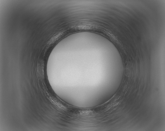 X0000052920446200507292330