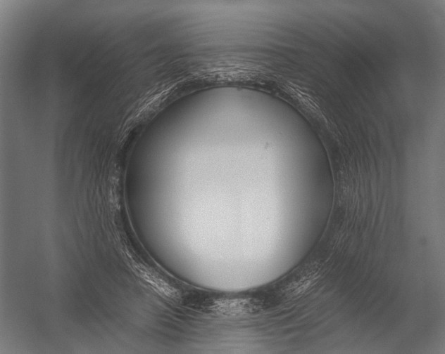 X0000052920450200507292330