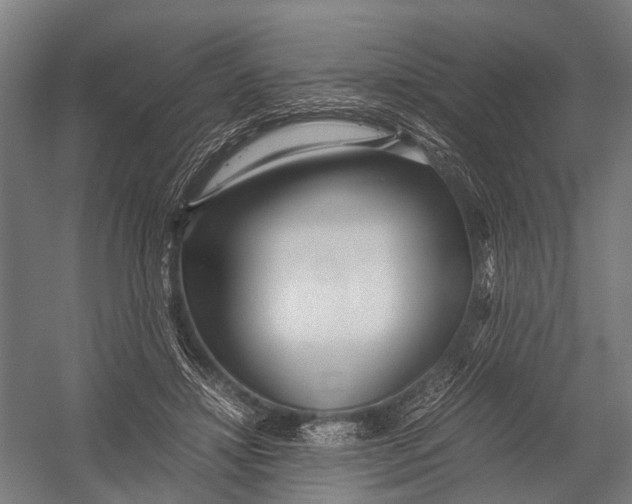 X0000052920452200507292330