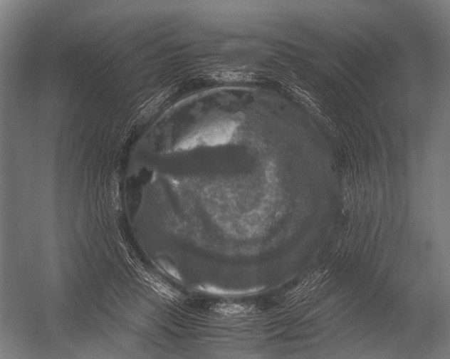X0000052920453200507292330