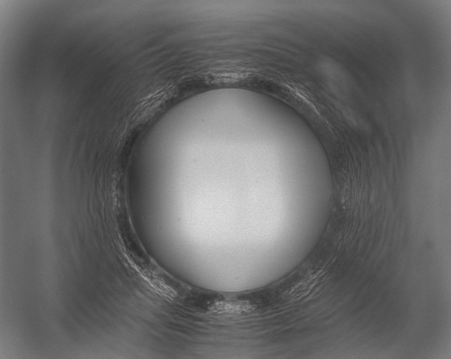 X0000052920455200507292330