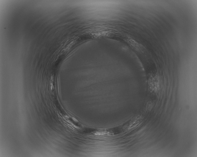 X0000052920458200507292330