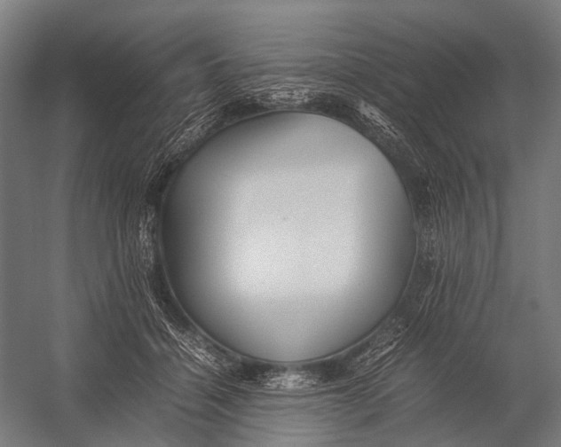 X0000052920460200507292330