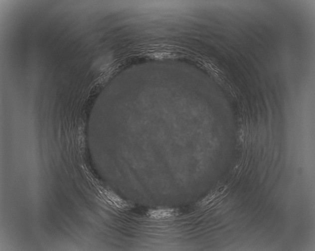 X0000052920461200507292330
