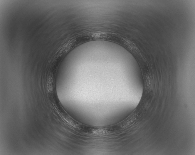 X0000052920470200507292331