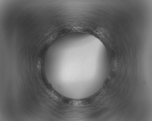 X0000052920472200507292331