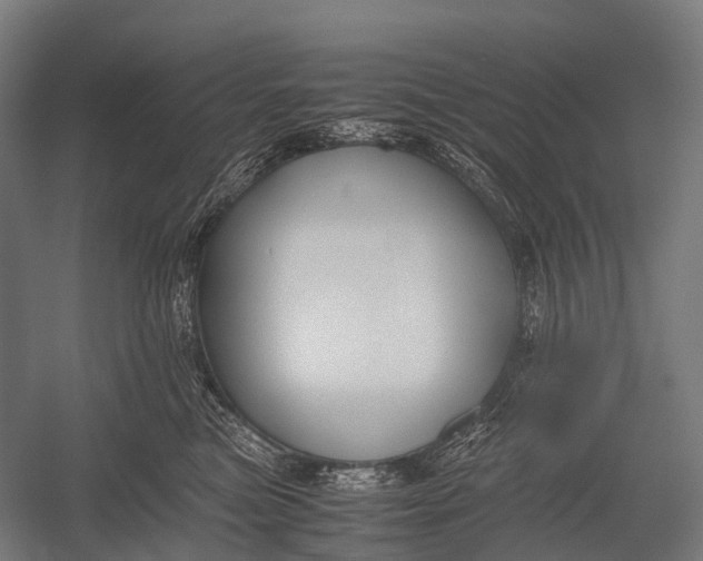 X0000052920473200507292331