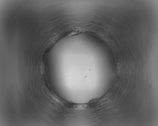 X0000052920474200507292331