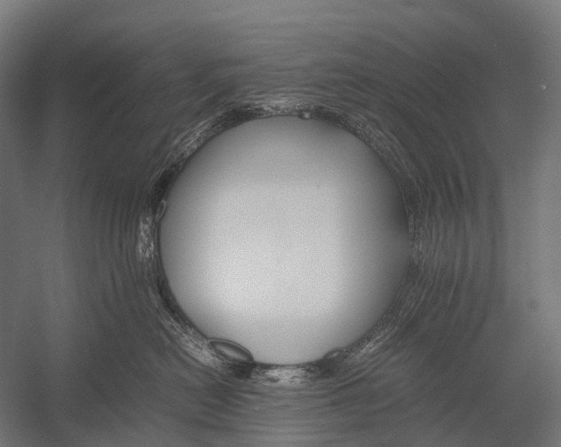 X0000052920478200507292331