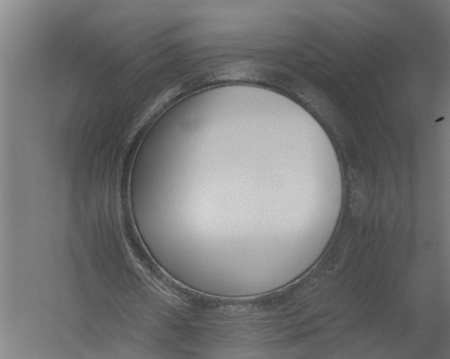 X0000052920482200507292330