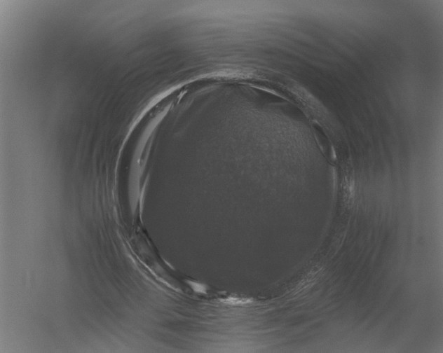 X0000052920484200507292330