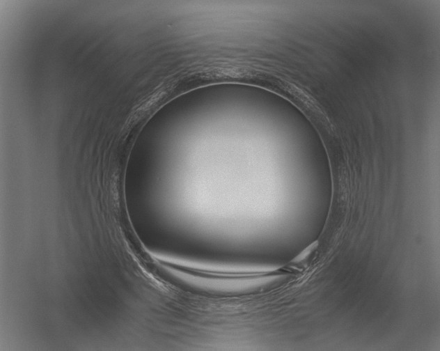 X0000052920489200507292330