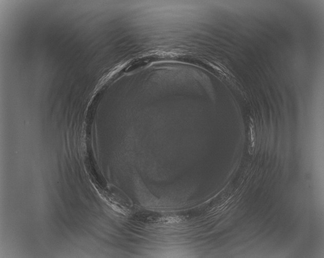X0000052920492200507292330
