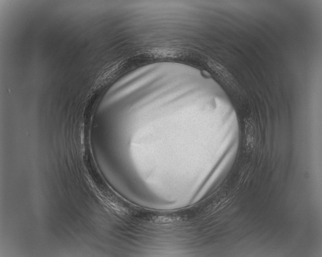 X0000052920494200507292330