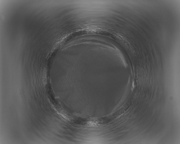 X0000052920496200507292330