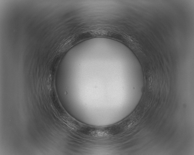 X0000052920498200507292330