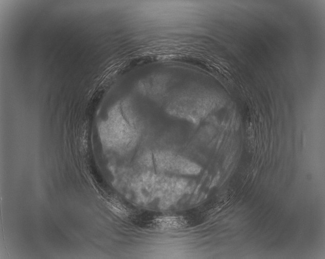 X0000052920499200507292330