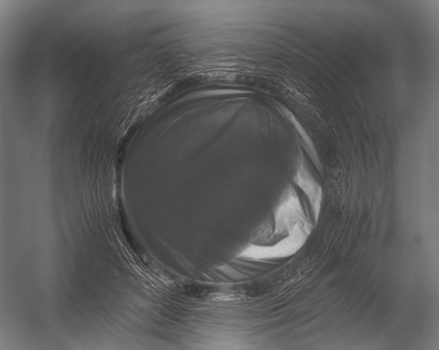 X0000052920504200507292329