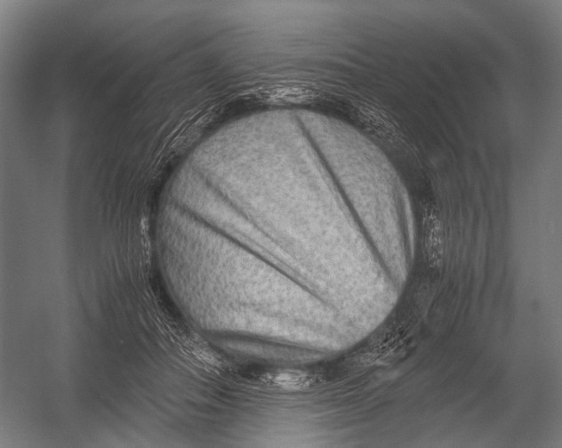 X0000052920506200507292329