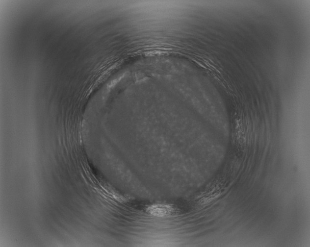 X0000052920508200507292329