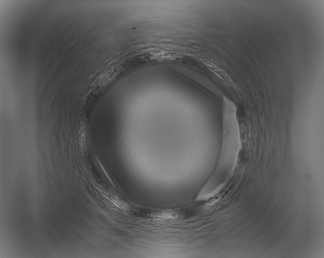 X0000052920513200507292329