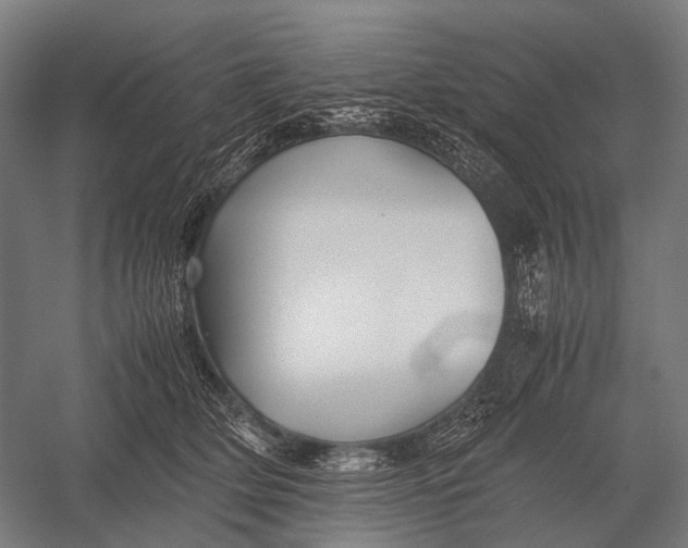 X0000052920514200507292329