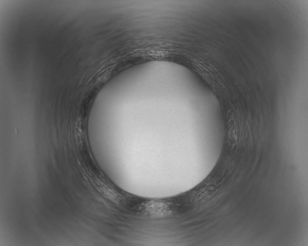 X0000052920518200507292329