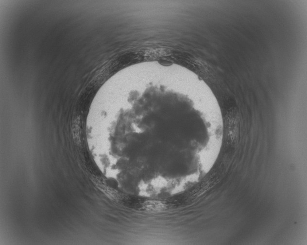 X0000052920519200507292329