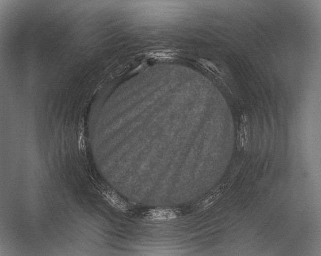 X0000052920520200507292329