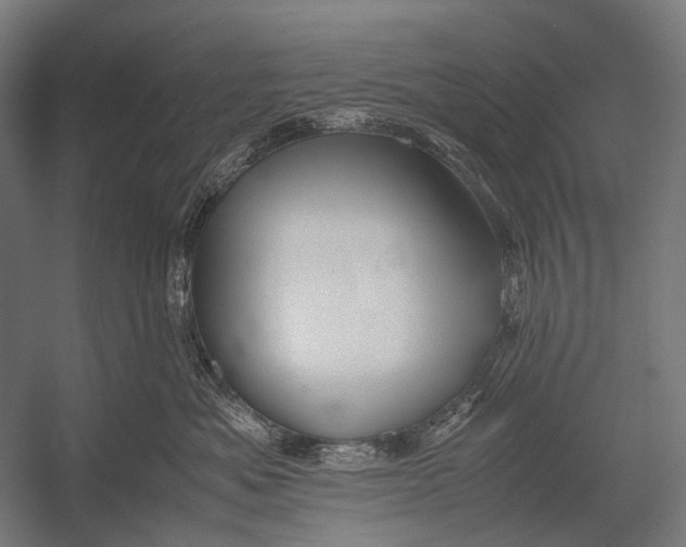 X0000052920525200507292329