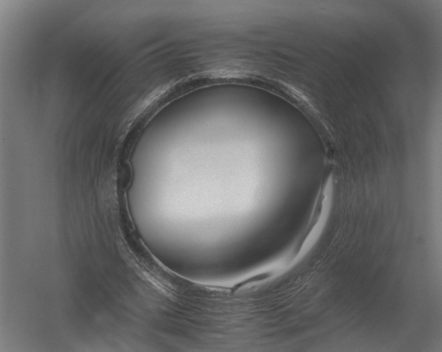 X0000052920535200507292328