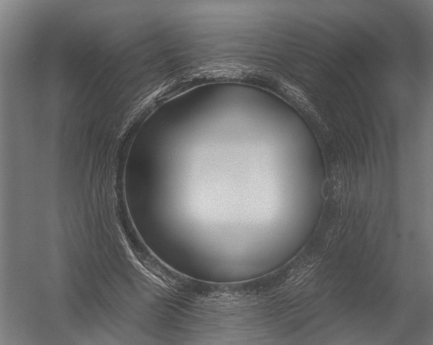 X0000052920538200507292328