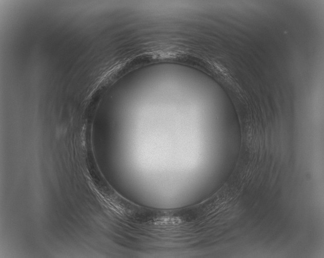 X0000052920543200507292328