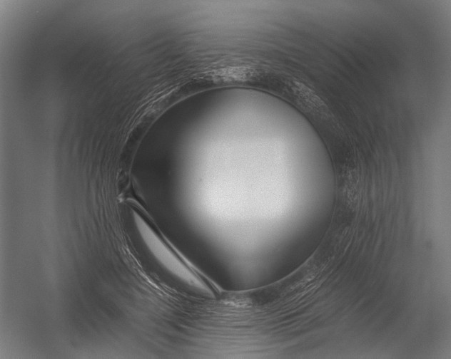 X0000052920548200507292329
