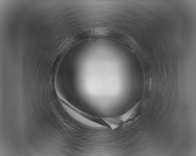 X0000052920552200507292329