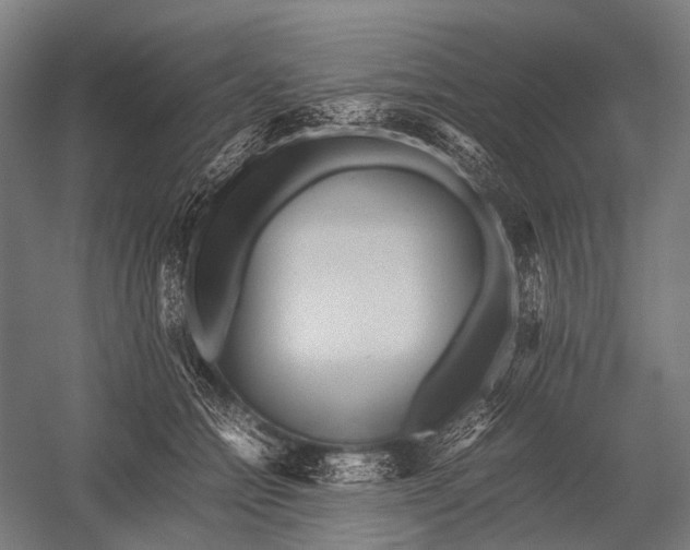 X0000052920558200507292329