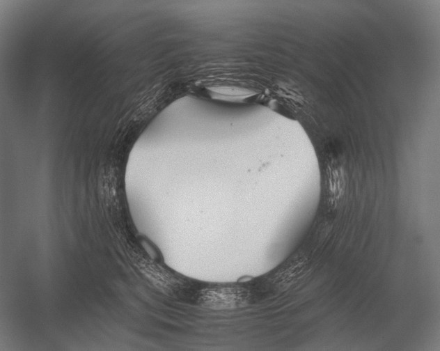 X0000052920567200507292329