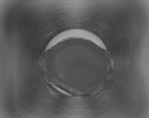 X0000052920570200507292329