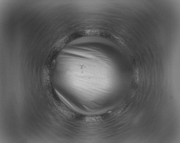 X0000052920571200507292329