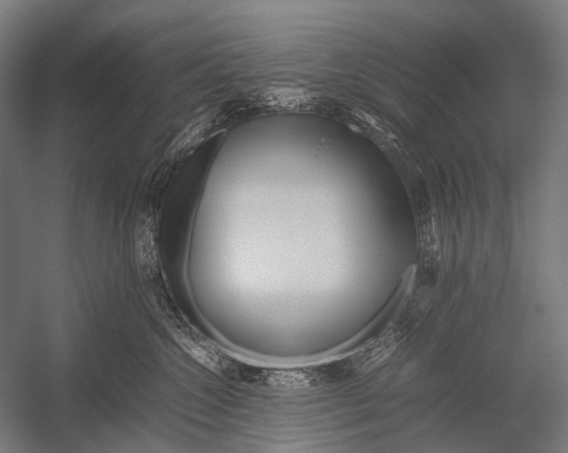 X0000052920572200507292329