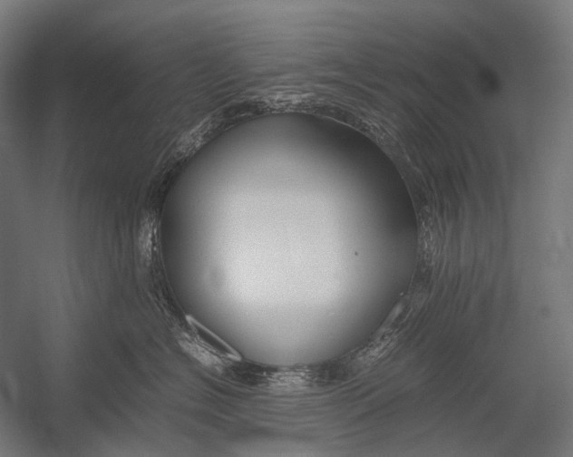 X0000052920574200507292329