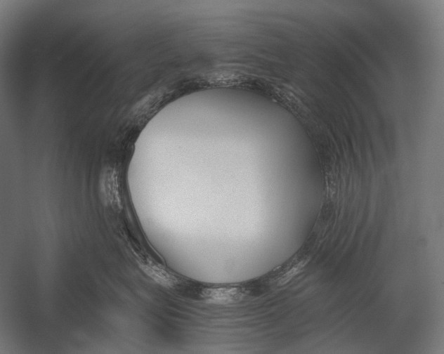 X0000052920575200507292329