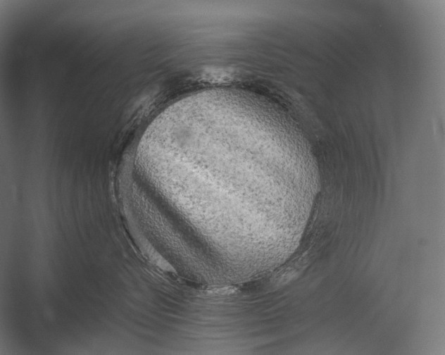 X0000052920576200507292329