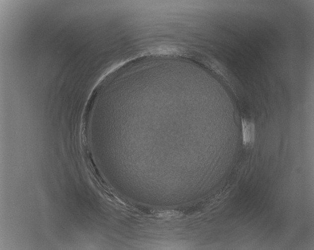 X0000052920579200507292328