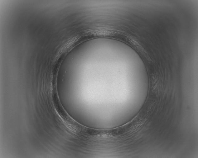 X0000052920586200507292328