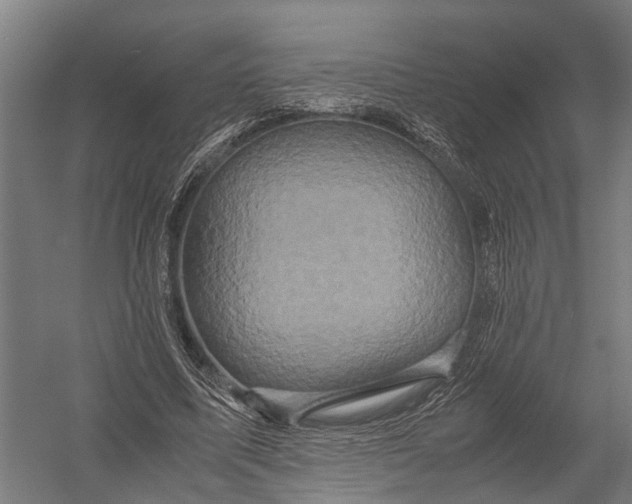 X0000052920587200507292328