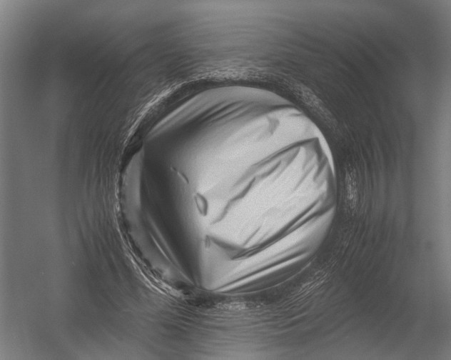 X0000052920588200507292328