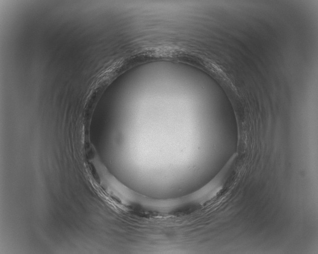 X0000052920589200507292328