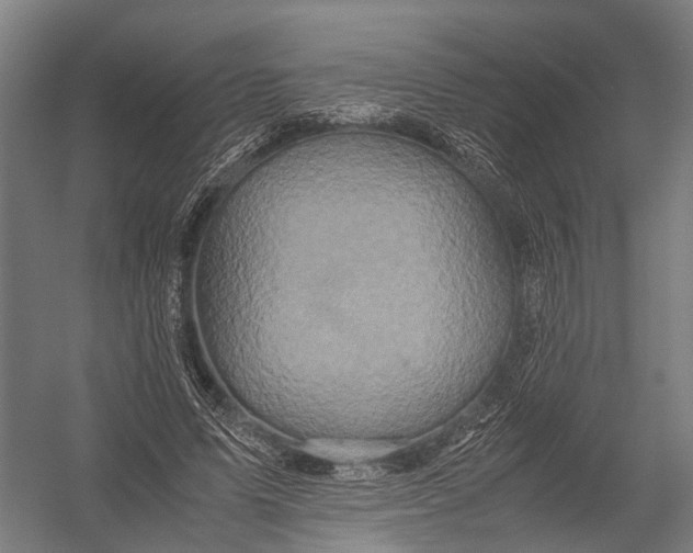 X0000052920591200507292328
